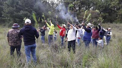 Más de 500 árboles son plantados en Cacalomacan para proteger el pulmón de Toluca