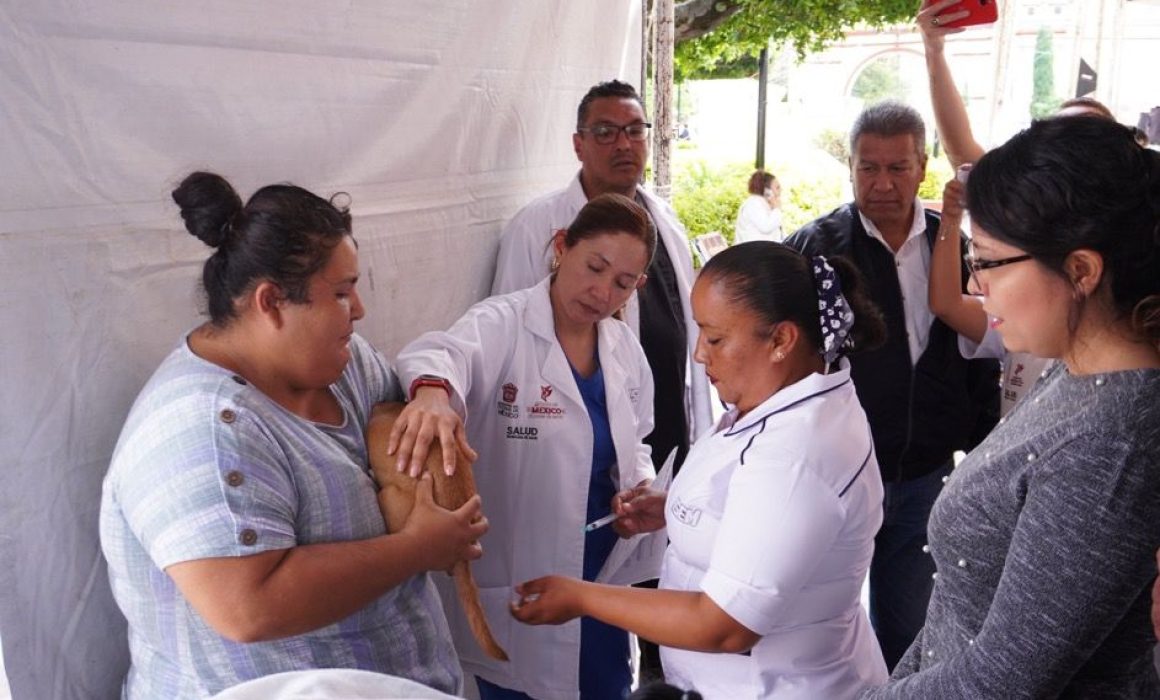 Más de 900 mil dosis de vacunas antirrábicas se aplican en Edomex para proteger a mascotas y familias