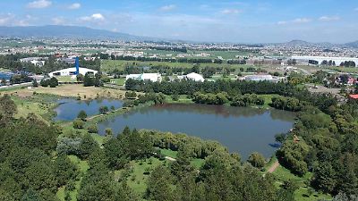 Más del 90% del arbolado del Parque Alameda 2000 podría estar afectado por plagas: ambientalista 