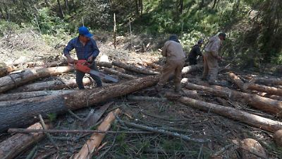México acoge la Primera Reunión Regional de América Latina para fortalecer acciones climáticas rumbo a la COP30