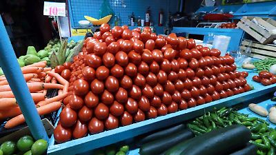 México denuncia injusticia por arancel del 17% de EU a jitomates mexicanos