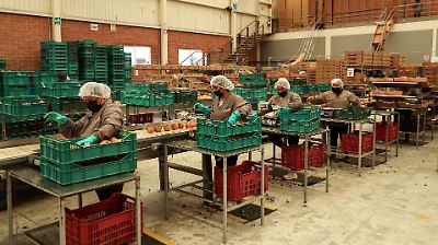 México presenta primer déficit comercial en dos meses con 16.7 mil millones de dólares en julio