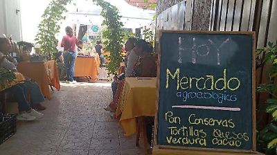Mercado en Toluca impulsa alimentos agroecológicos y sostenible para la salud y el medio ambiente