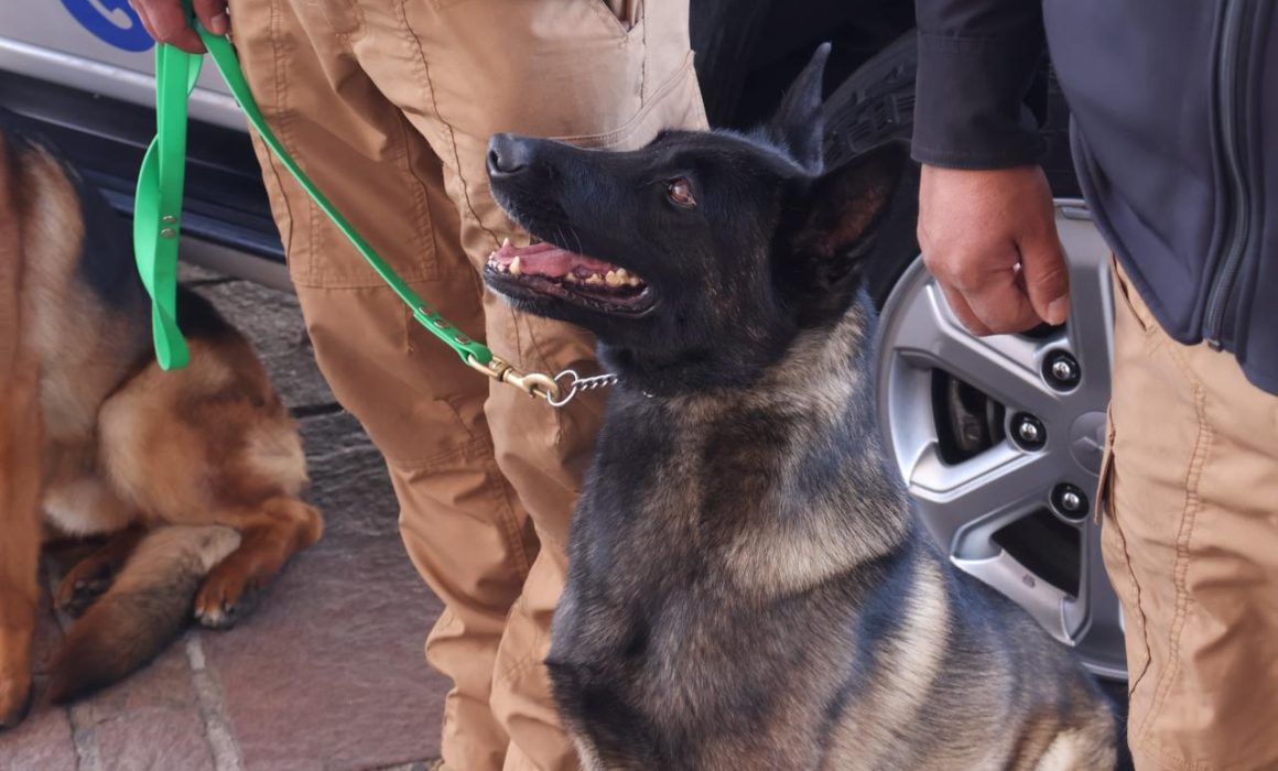 Metepec impulsa por primera vez en el Edomex una Policía especializada en protección ambiental y animal