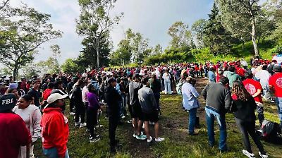 Metepec refuerza su compromiso ecológico con jornada récord de reforestación en el Cerro de los Magueyes
