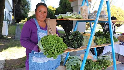 Mi Tianguis Colibrí llega al Palacio de Gobierno de Toluca para apoyar a productores mexiquenses