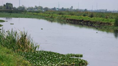 Monitoreo en canales de San Mateo Atenco evita riesgos de inundación