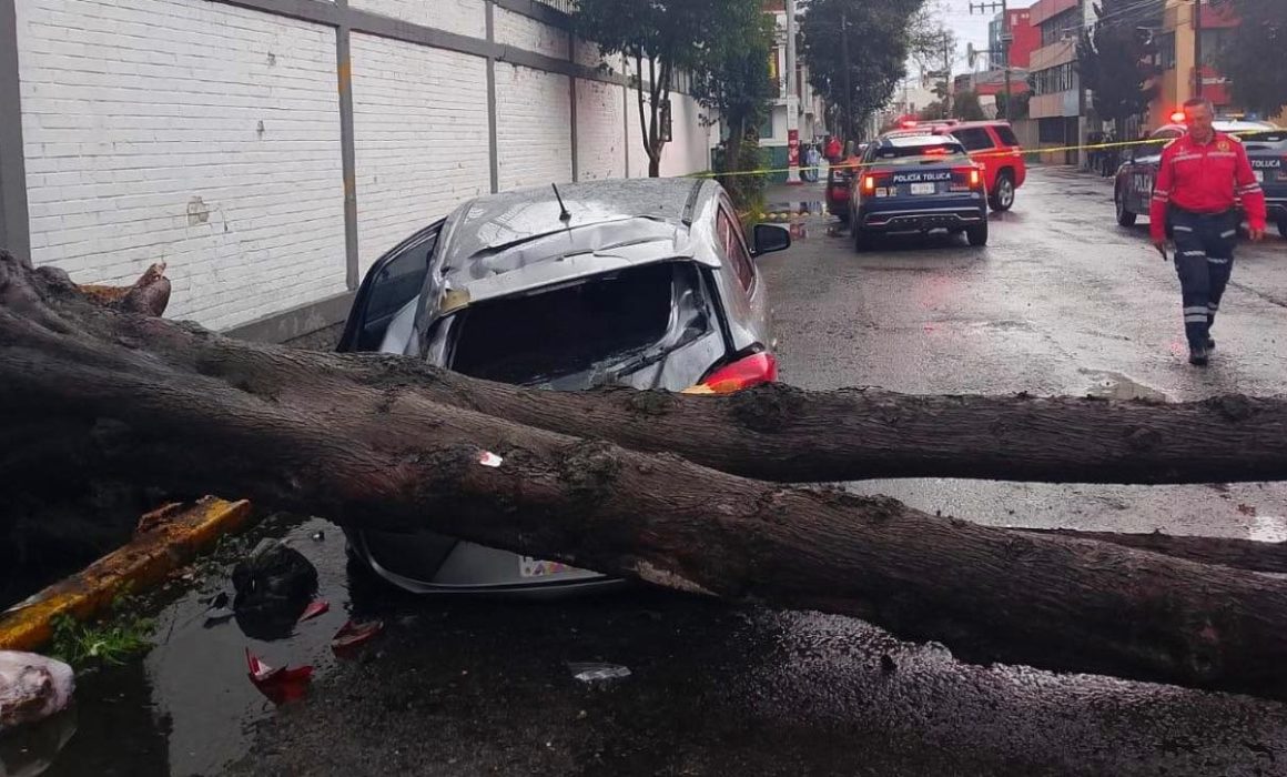 Mujer se salva de milagro tras caer un árbol sobre su automóvil en Toluca