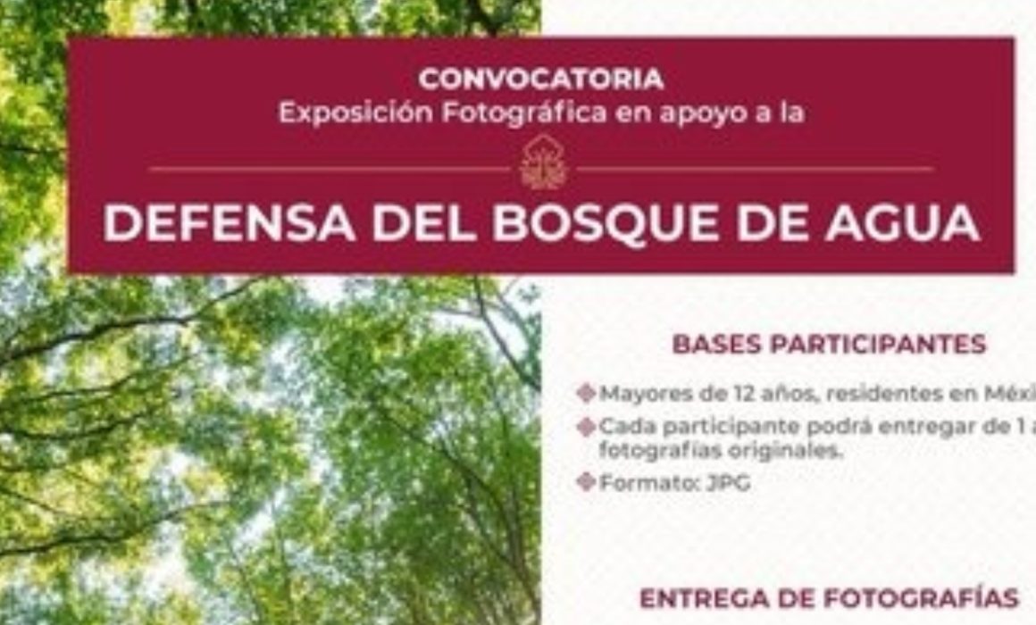 Naucalpan Busca Conciencia Ambiental a través de Fotografía en el Bosque de Agua
