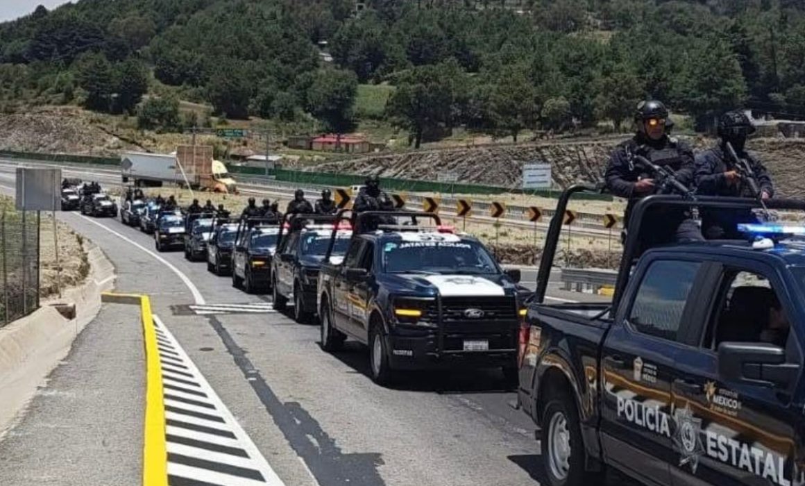 Naucalpan refuerza acciones para enfrentar la tala clandestina y proteger sus áreas forestales