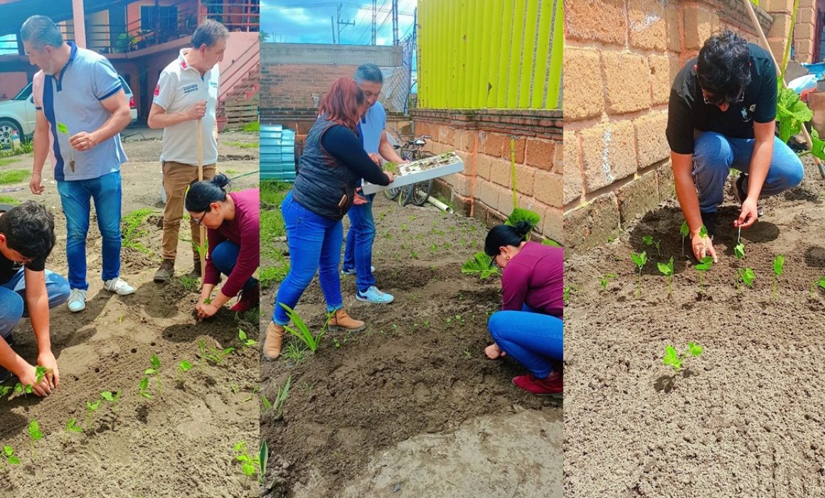 Nextlalpan impulsa el programa 'Familias Cultivan Salud en Casa' para promover alimentación saludable