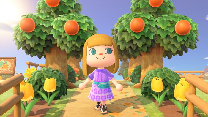Nintendo lanza la edición Nintendo Switch 2 de Animal Crossing: New Horizons con mejoras técnicas y contenido adicional