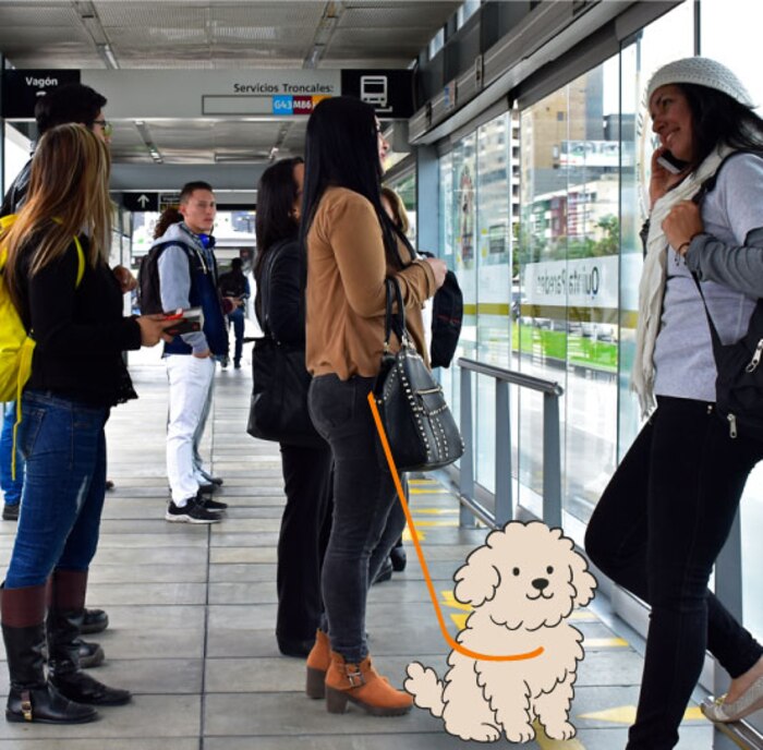 ¡No arriesgues tu paseo navideño! Cómo viajar con tu mascota en TransMilenio sin multas