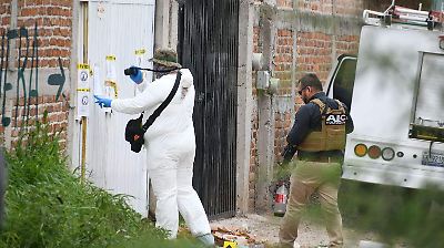 Nueva fosa clandestina en Irapuato revela restos de al menos 20 víctimas; suman 22 bolsas con restos humanos