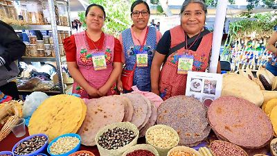 Oaxaca avanza hacia la autosuficiencia en maíz con un incremento del 40% en producción en tres años