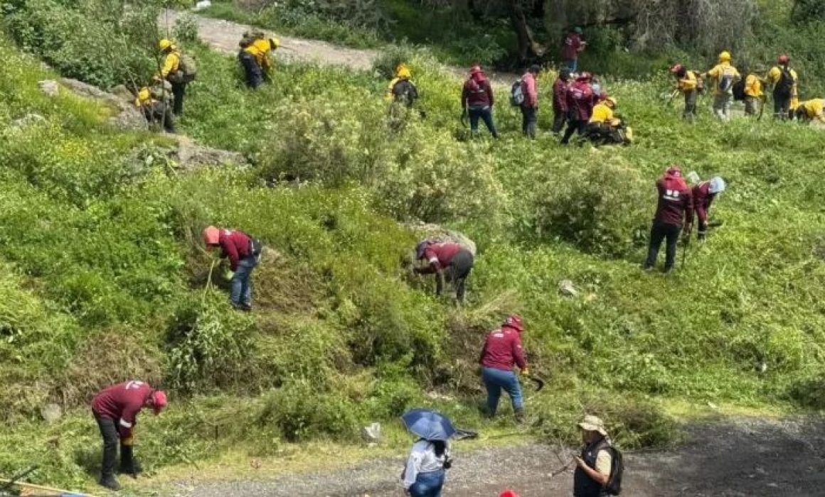 Operativo sin precedentes en la Sierra de Guadalupe busca a 250 personas desaparecidas