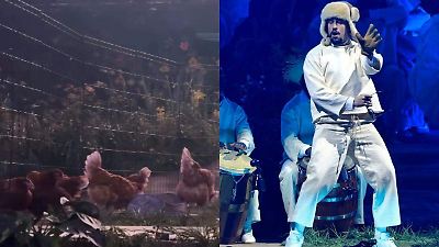PETA denuncia a Bad Bunny por usar gallinas vivas en sus conciertos en Puerto Rico