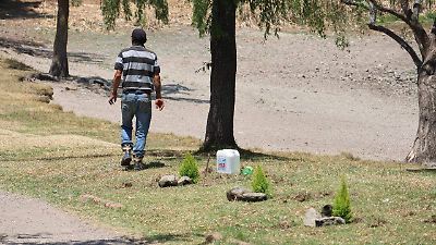 Pareja de adultos mayores se dedican a reforestar el parque Alameda 2000