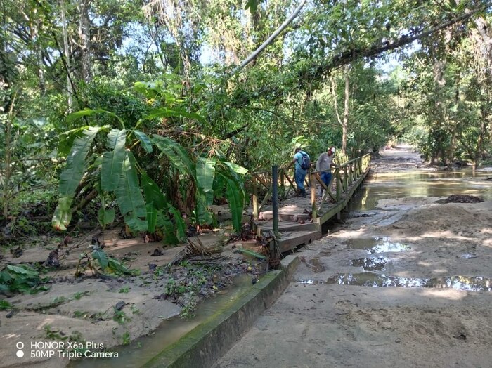 Parque Tayrona cierra temporalmente Cañaveral por daños estructurales y afectaciones a la fauna por lluvias