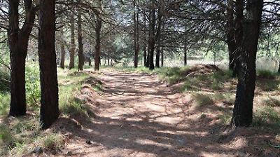 Parque de los Espejos; un centro ecoturístico olvidado rumbo al Nevado de Toluca 