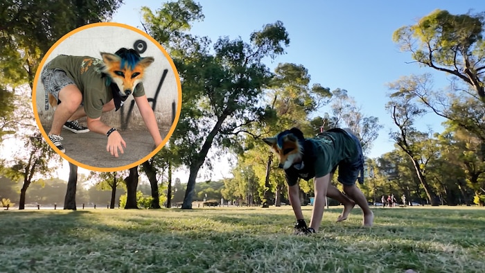 Pereira organiza encuentros therian del 21 al 23 de febrero en parques públicos para promover la autoexpresión y la identidad alternativa