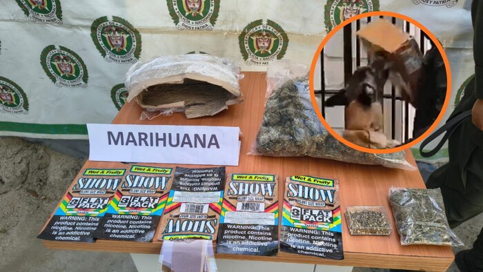 ¡Perro policía Fox revela el secreto! 500 dosis de marihuana ocultas en un envío en Santa Marta