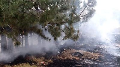 Pobladores de Amecameca piden frenar quemas de pastizales sin control