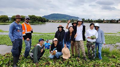 Pobladores de Toluca luchan contra el lirio acuático para proteger la Laguna de los Ángeles
