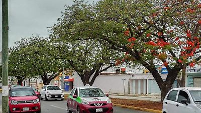 Polvo del Sahara llega a Campeche: efectos y recomendaciones