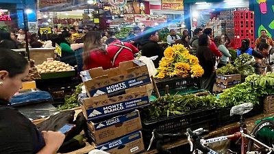 Precios bajan en la Central de Abasto de Toluca, pero aumentan productos patrios para fiestas tradicionales
