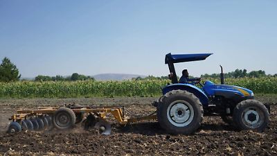 Productores de Jocotitlán diversifican cultivos ante cambios climáticos para fortalecer su economía