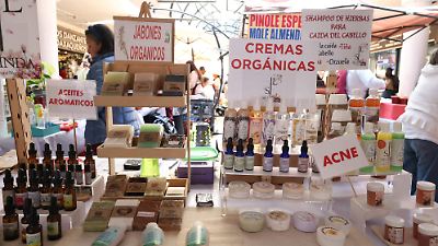 Productos de higiene y cuidado personal en Toluca, elaborados con procesos agroecológicos y plantas nativas