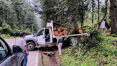 Profepa asegura más de 7 metros cúbicos de madera ilegal en Ocuilan y fortalece la vigilancia forestal