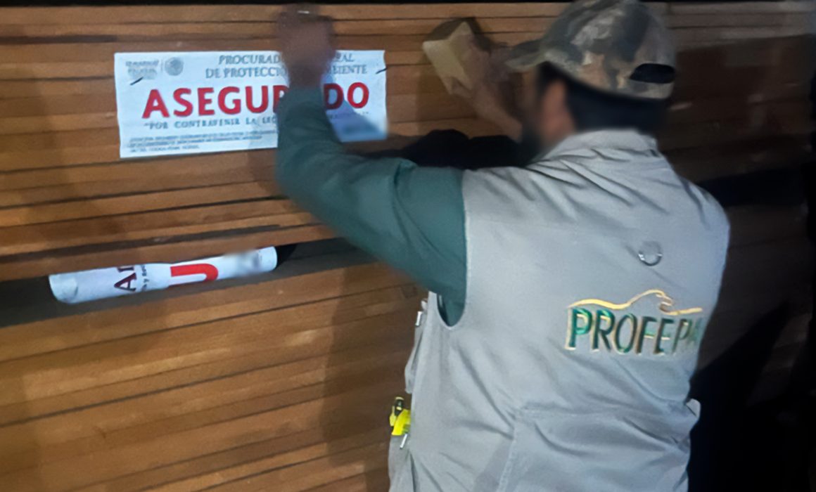Profepa clausura aserradero en Capulhuac por legalidad de madera y posible tala clandestina
