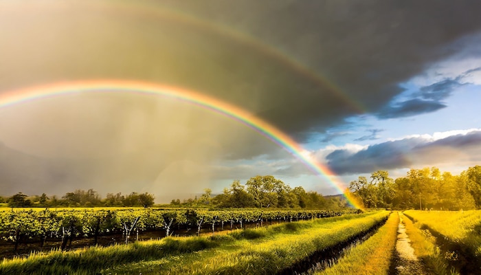 Pronóstico del clima en Encarnación para este 21 de octubre: temperaturas, lluvias y vientos