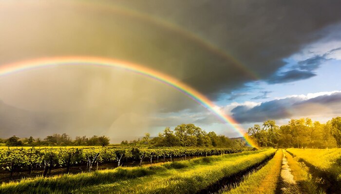 Pronóstico del clima en Flores para este 18 de octubre: lluvias, temperaturas y vientos