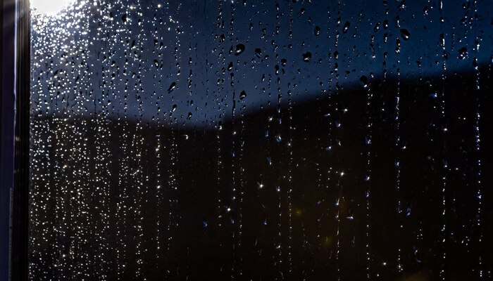 Pronóstico del clima en Reston, Virginia: temperaturas agradables y probabilidad de lluvia para mañana