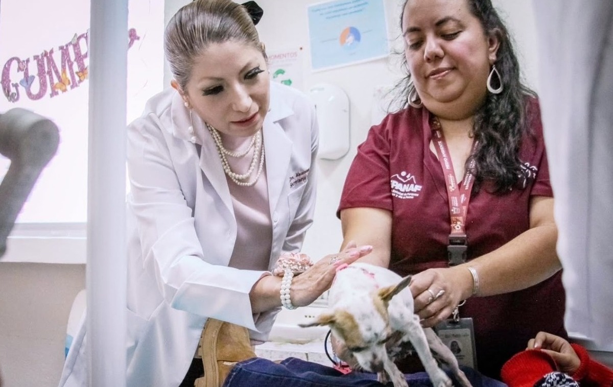 ¿Pueden los perros salvar la salud emocional de los niños en el Estado de México? Descúbrelo