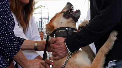 ¿Qué hacer si te contagias o tienes contacto con un caso de rabia humana?