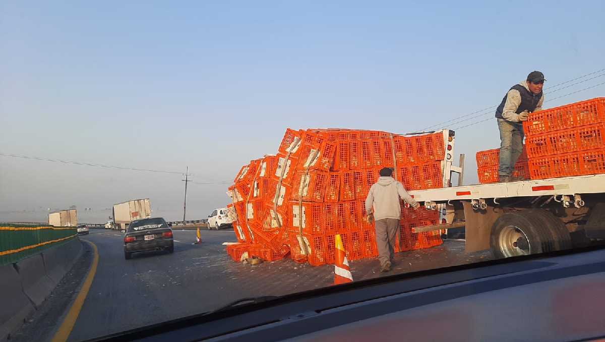 ¿Qué ocurrió cuando un camión de pollos se volcó en Edomex? La impactante historia y datos que debes conocer