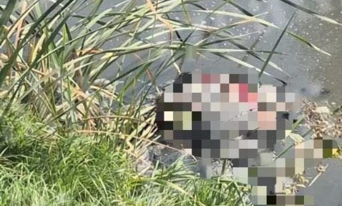 ¿Qué ocurrió en Tultitlán? Confirman hallazgo inquietante en canal de San Juan