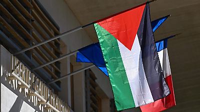 ¿Qué países reconocen a Palestina como Estado y qué repercusiones tiene esta decisión?