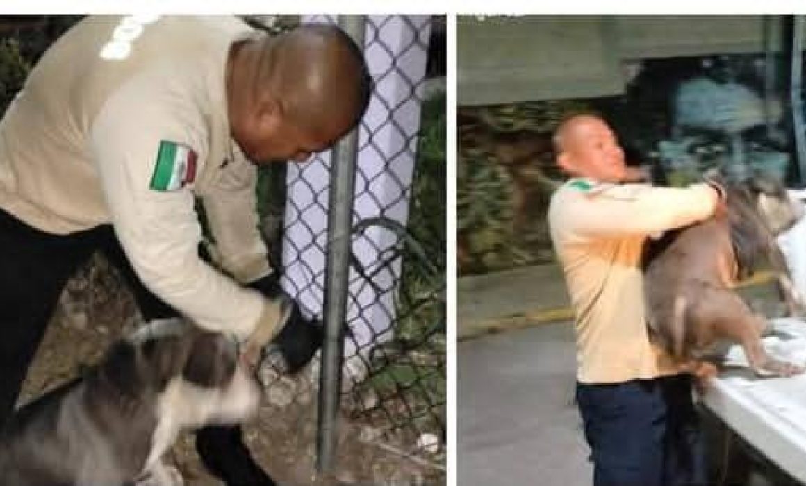 ¿Qué pasó con el valiente bombero de Ecatepec? La trágica historia que revela la negligencia del gobierno