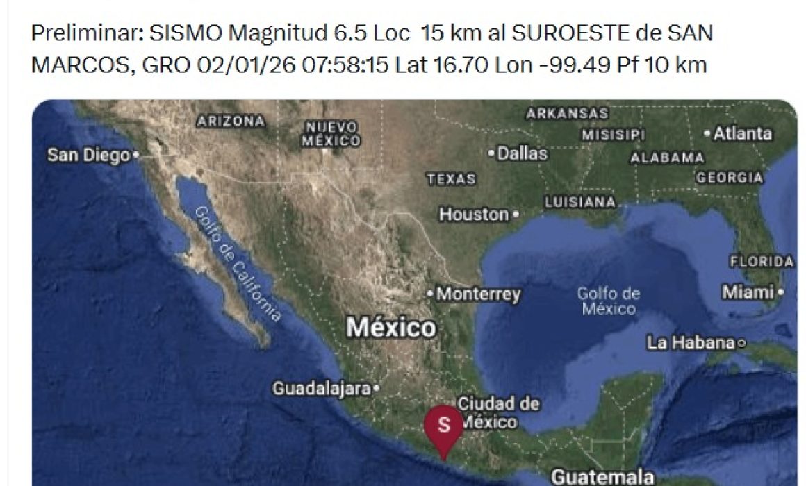 ¿Qué pasa con las mascotas durante un sismo? La impactante realidad en Edomex que no debes ignorar