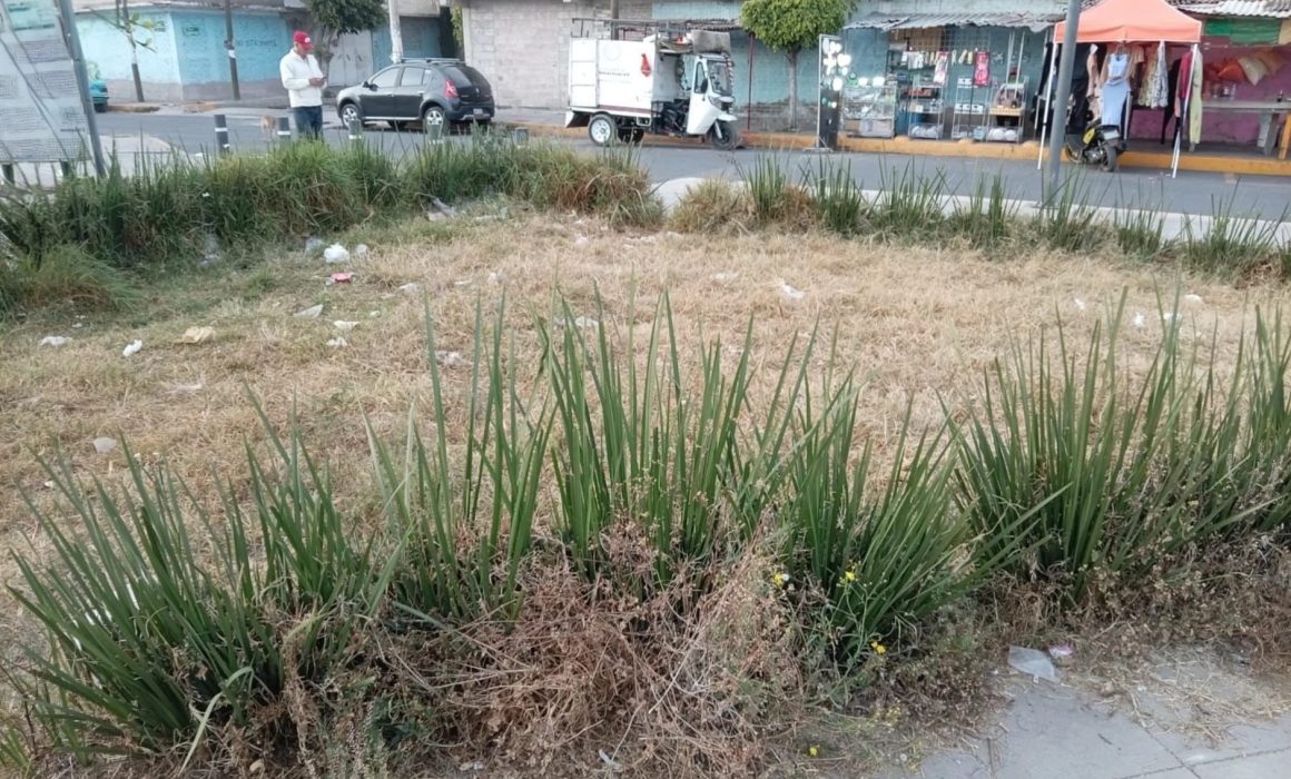¿Qué revela el abandono de parques en Chimalhuacán? La realidad que no puedes ignorar