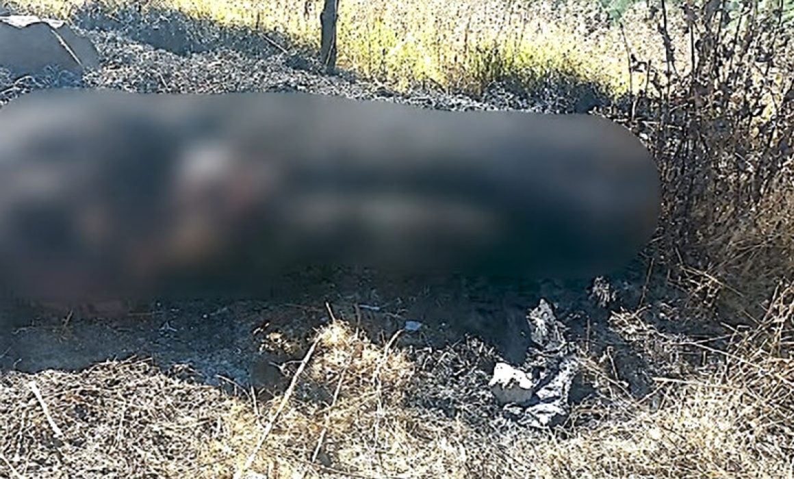 ¿Qué revelan los restos calcinados en Zinacantepec? La impactante búsqueda para identificar a la víctima