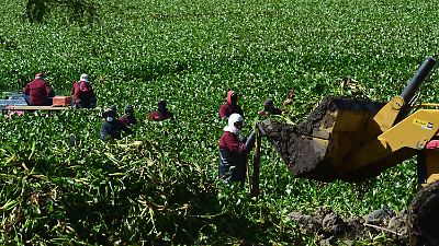 ¿Qué significa el Día del Déficit Ecológico y por qué se celebra el 24 de julio?