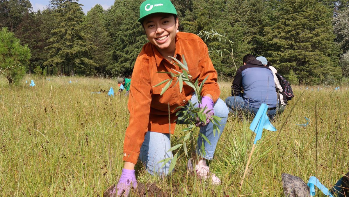 Química Apollo se compromete con la reforestación en Alameda 2000, Toluca
