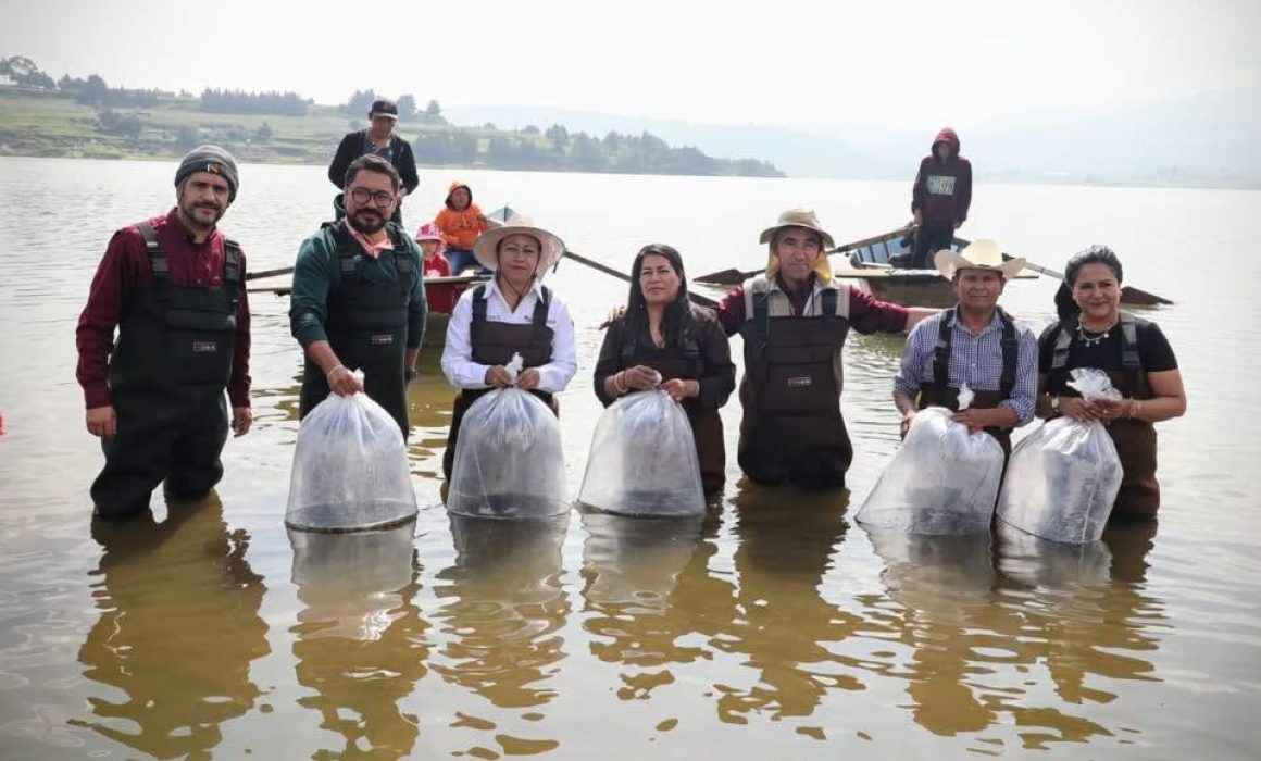 ¿Quién conquistará el sabor de la mejor trucha en Metepec? La competencia que pondrá a prueba la creatividad culinaria del Estado de México