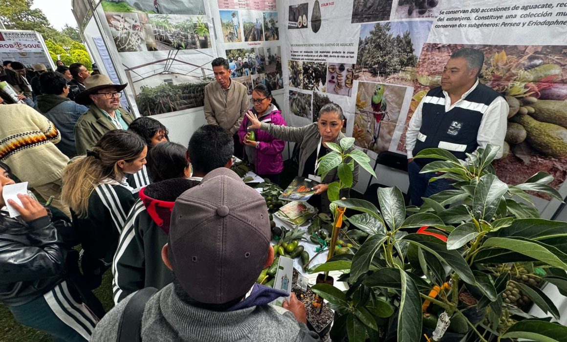 ¿Quieres llegar a Tiempo a la Expo Agro 2025? Descubre las Rutas Esenciales